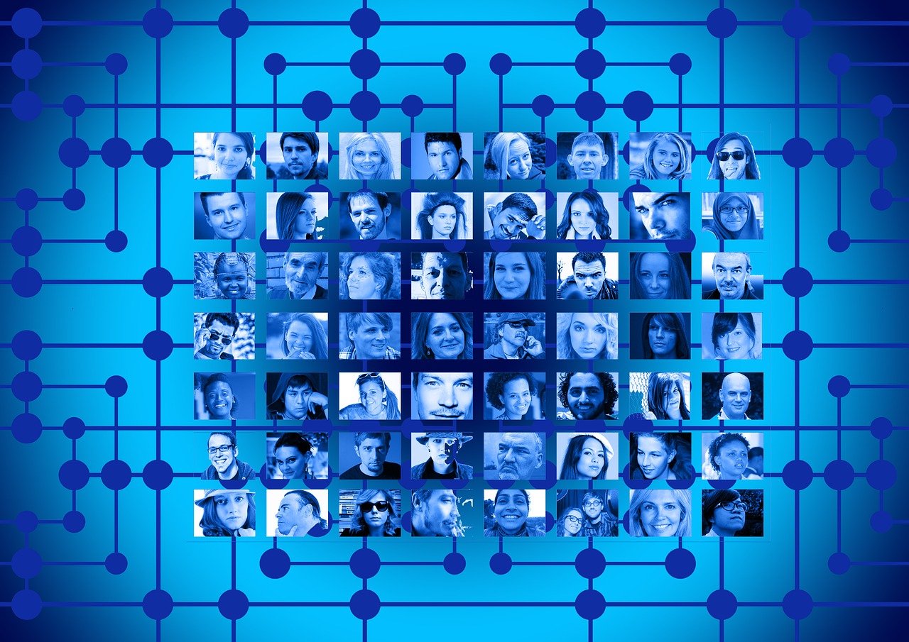 Innovation and Evolution within the Genre