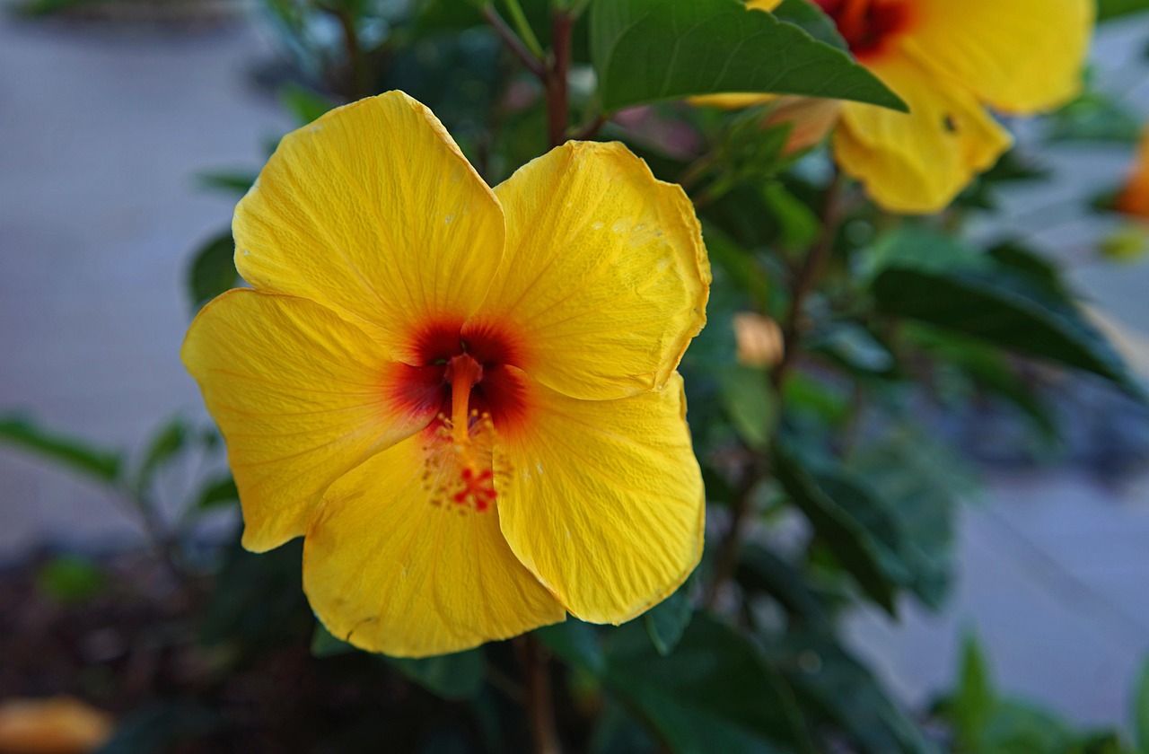 In conclusion, the integration of cryptocurrency into the travel industry