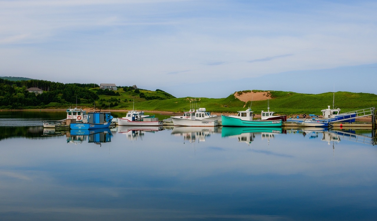 Influencer partnerships and virtual ship tours are among the innovative