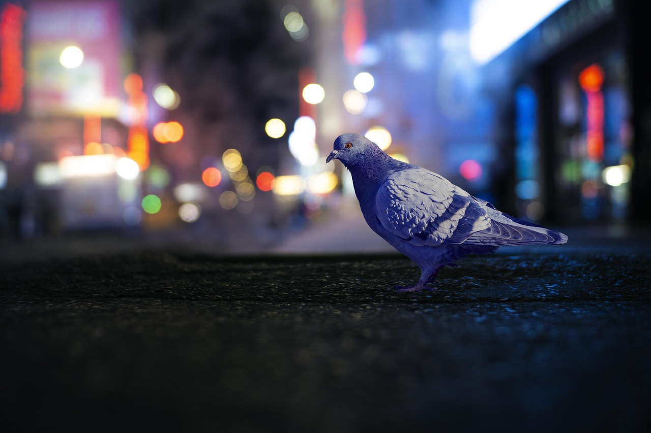 Looking ahead, the integration of artificial intelligence and machine learning