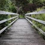 The Rise Of Digital Nomadism How Remote Work Is Changing Travel Patterns