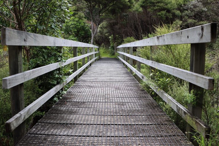 The Rise Of Digital Nomadism How Remote Work Is Changing Travel Patterns