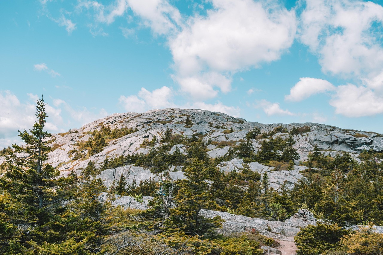 This shift has also led to innovation within the industry.